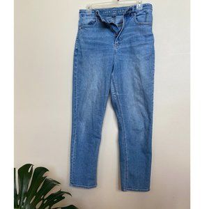 American Eagle Stretch Curvy Straight Mom Jean